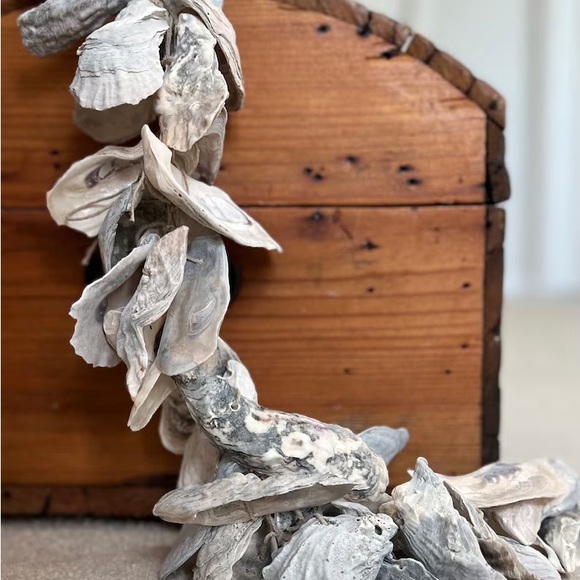 Natural Alaskan Oyster Shells- clear glazed & glossy - Picture 8 of 12